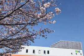 記事サムネイル画像